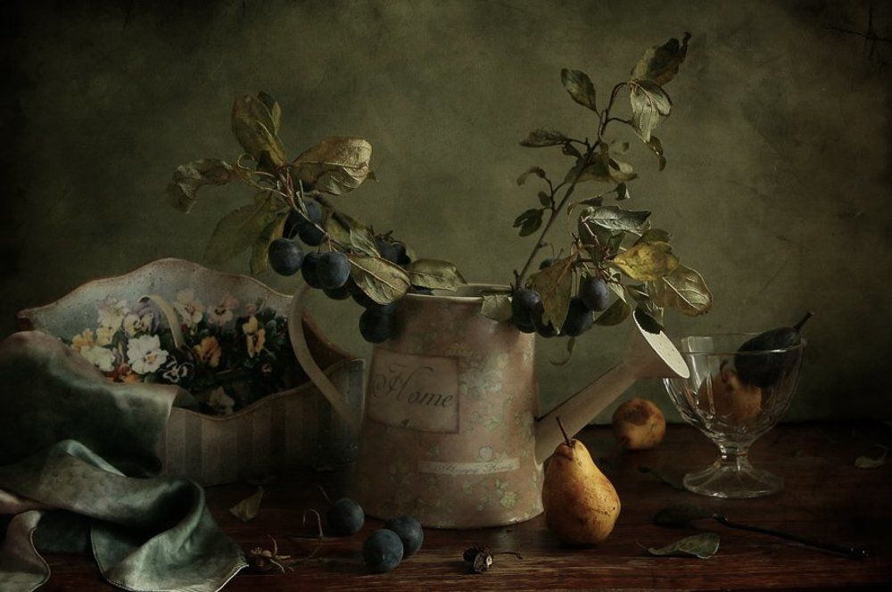 Сливовая ветка