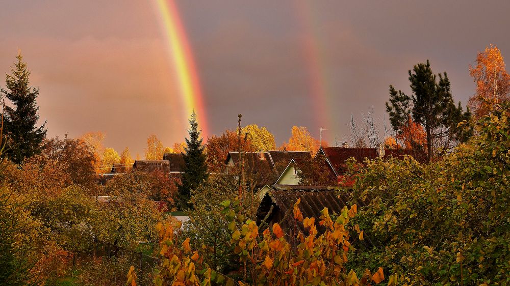 Photograph by Александр Пинаев