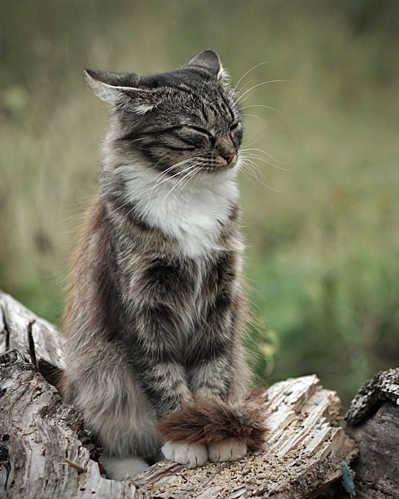 Photograph by Tatiana Grinko