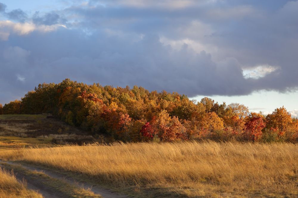 Photograph by Сергей Конюшенко
