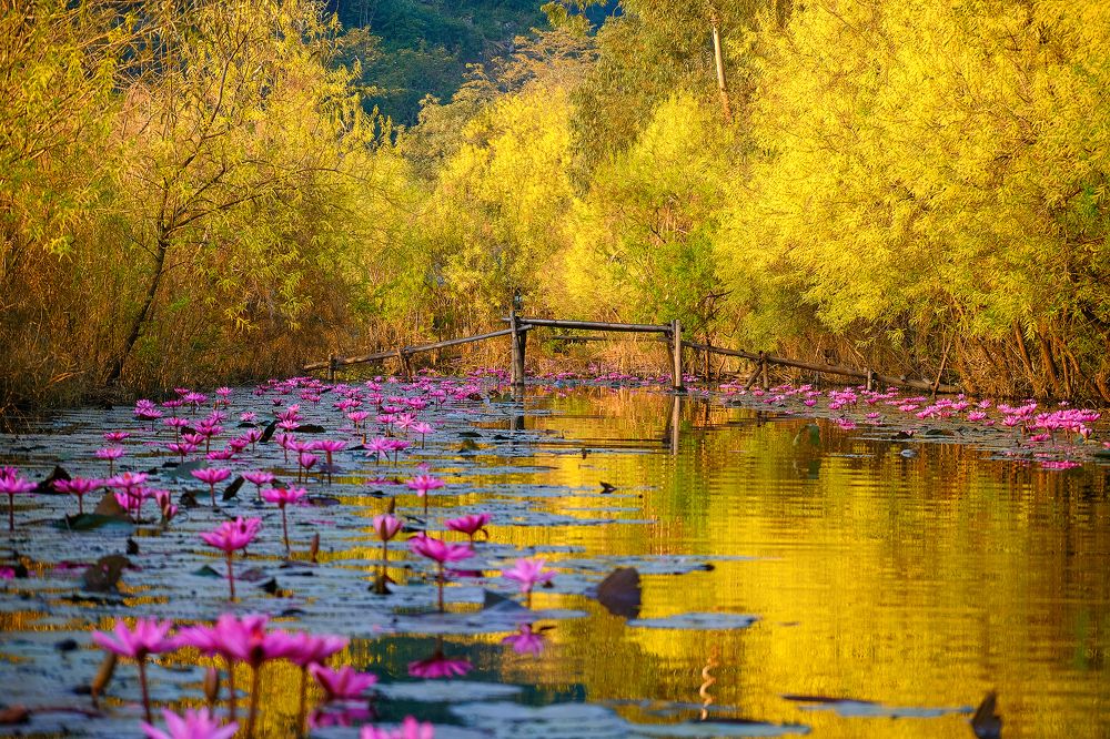 Photograph by Do Thi Thanh Binh
