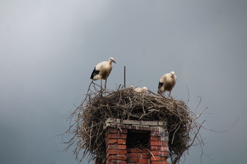 Photograph by Александр Кравченко