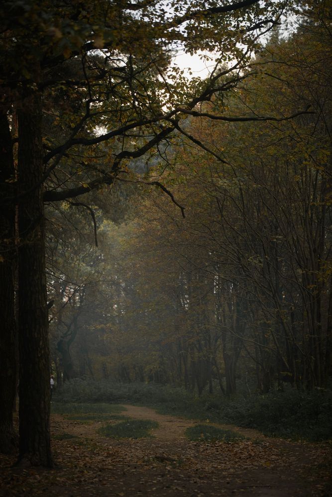 Photograph by Наталия Комаровская