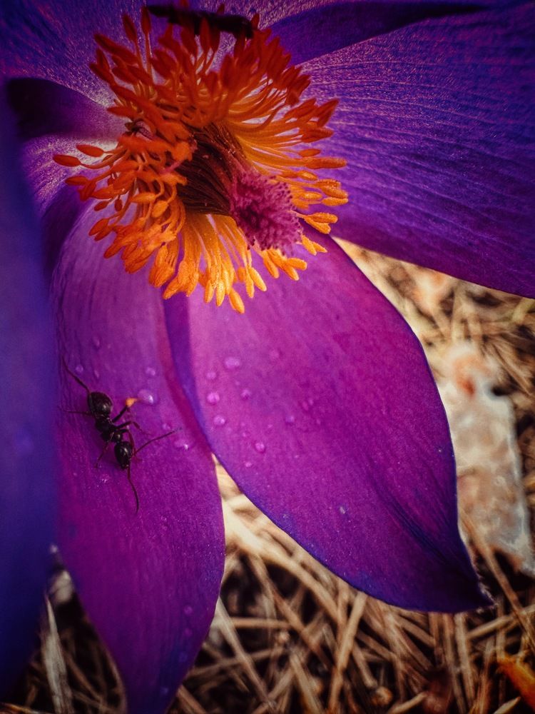 Photograph by Evgenia Privalova