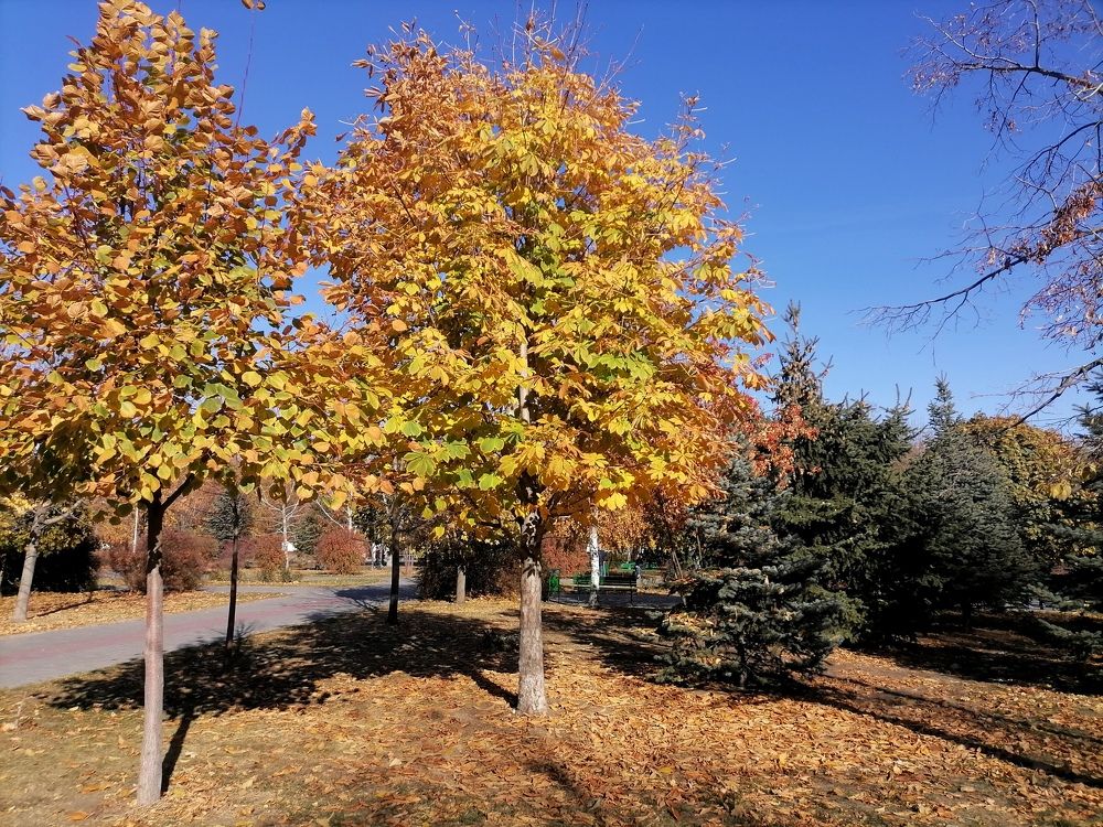 Photograph by Тамара Багровская