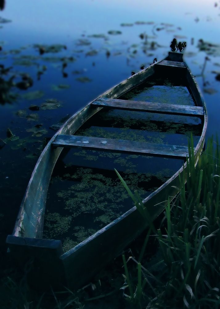 Photograph by Светлана Шмигельская