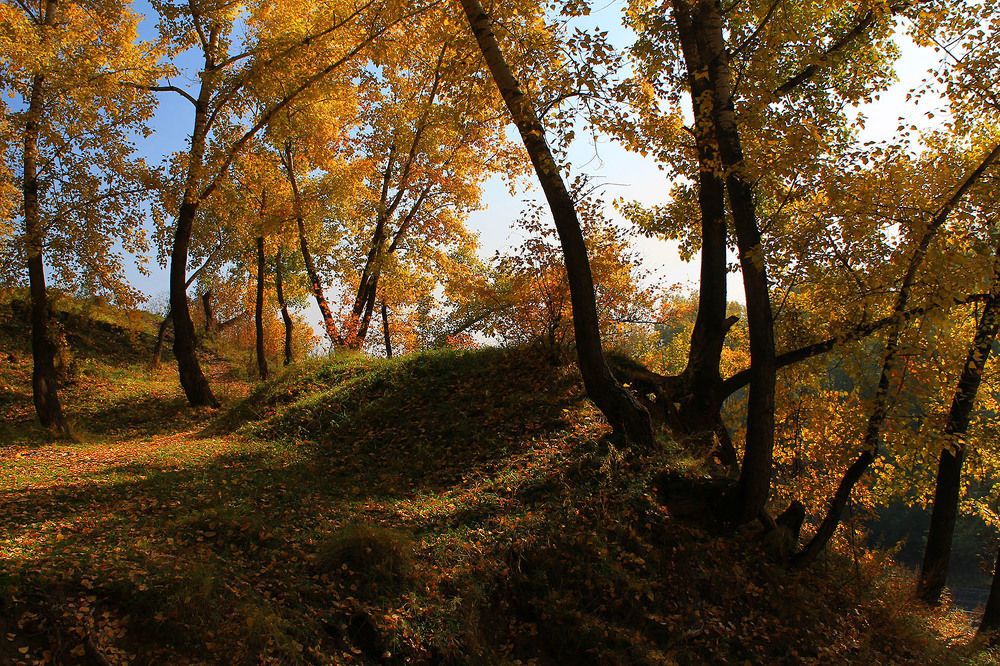 Photograph by Курочкина Диана