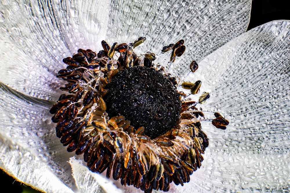 Photograph by Sergey Uskov