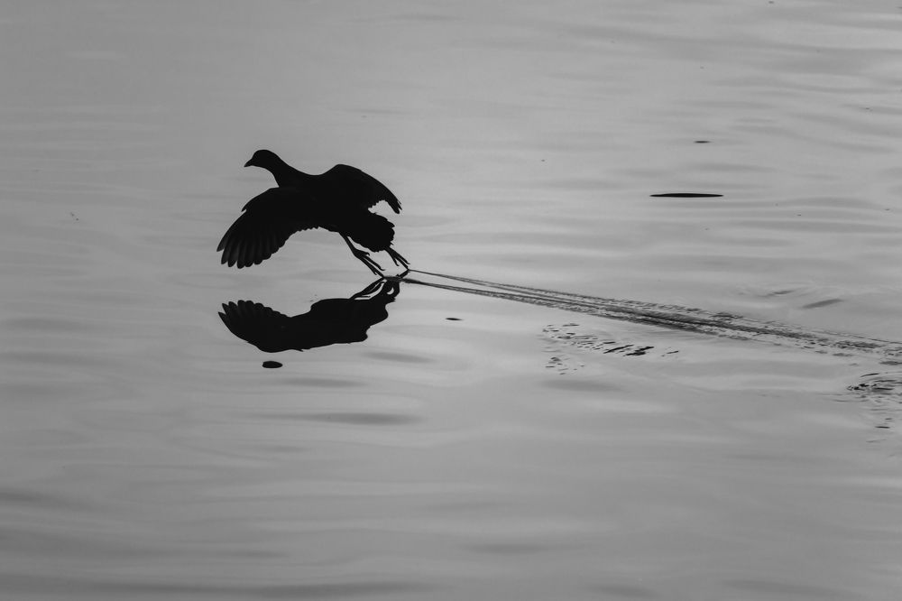 Photograph by Petar Chapkanov