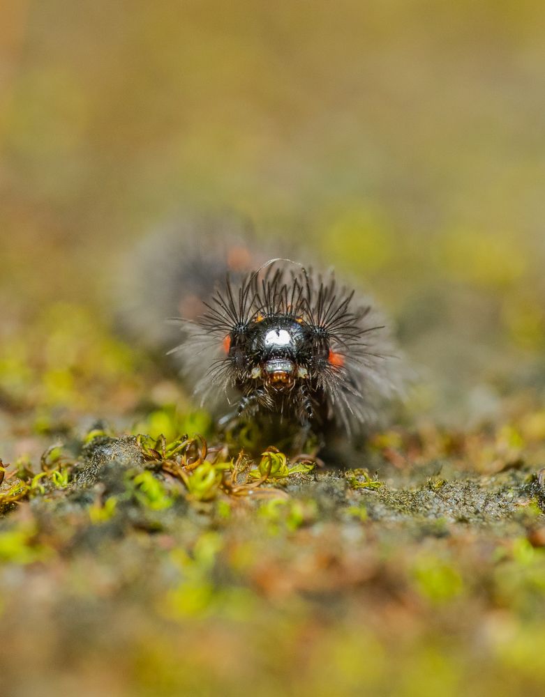 Photograph by Sangeetha Damodaran