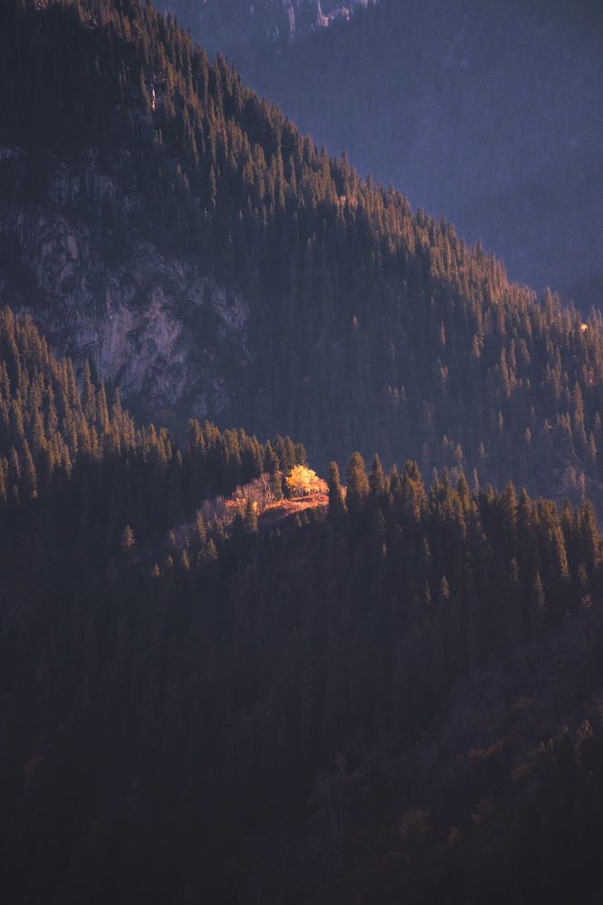 Фотография автора Fedeeng X