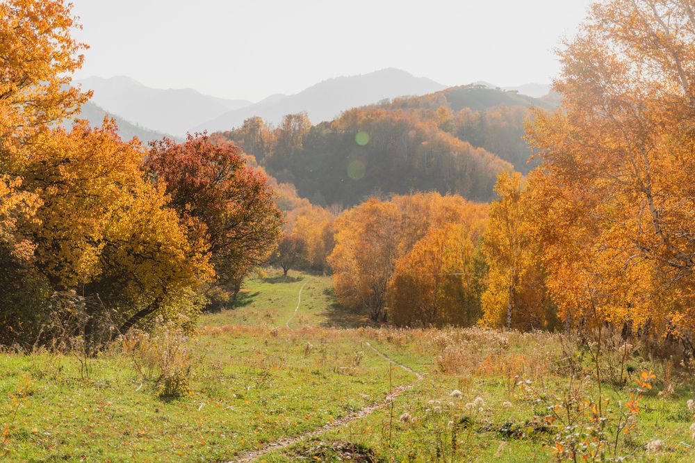 Фотография автора Fedeeng X