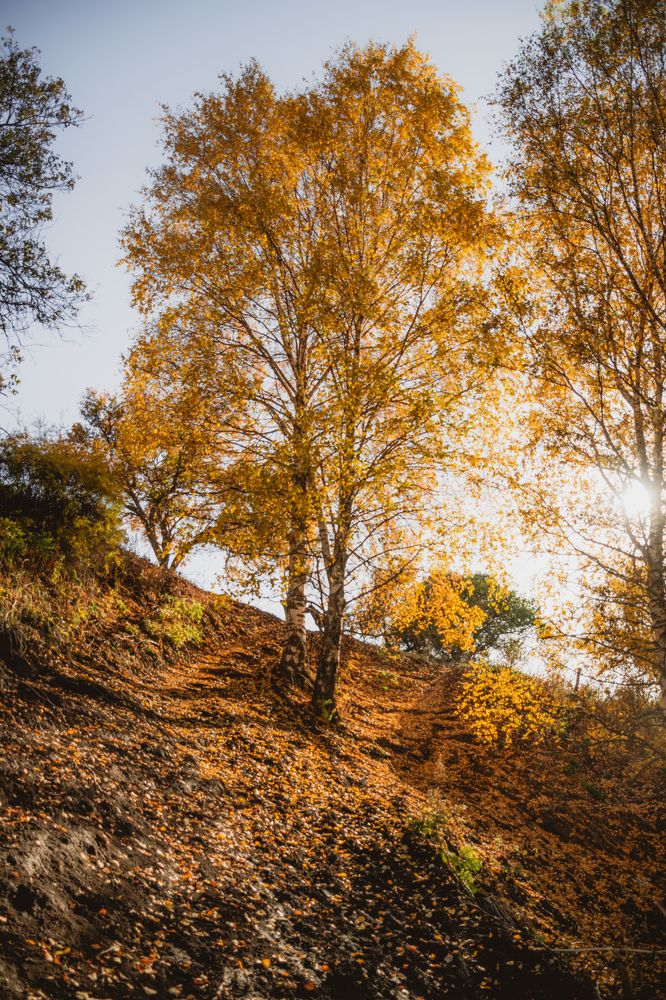 Фотография автора Fedeeng X