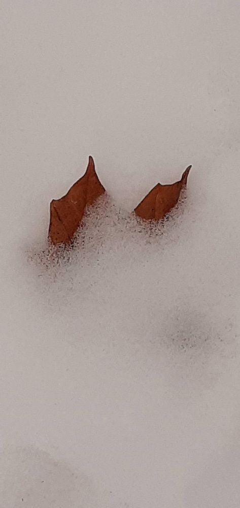 Photograph by Евгения Ульянова