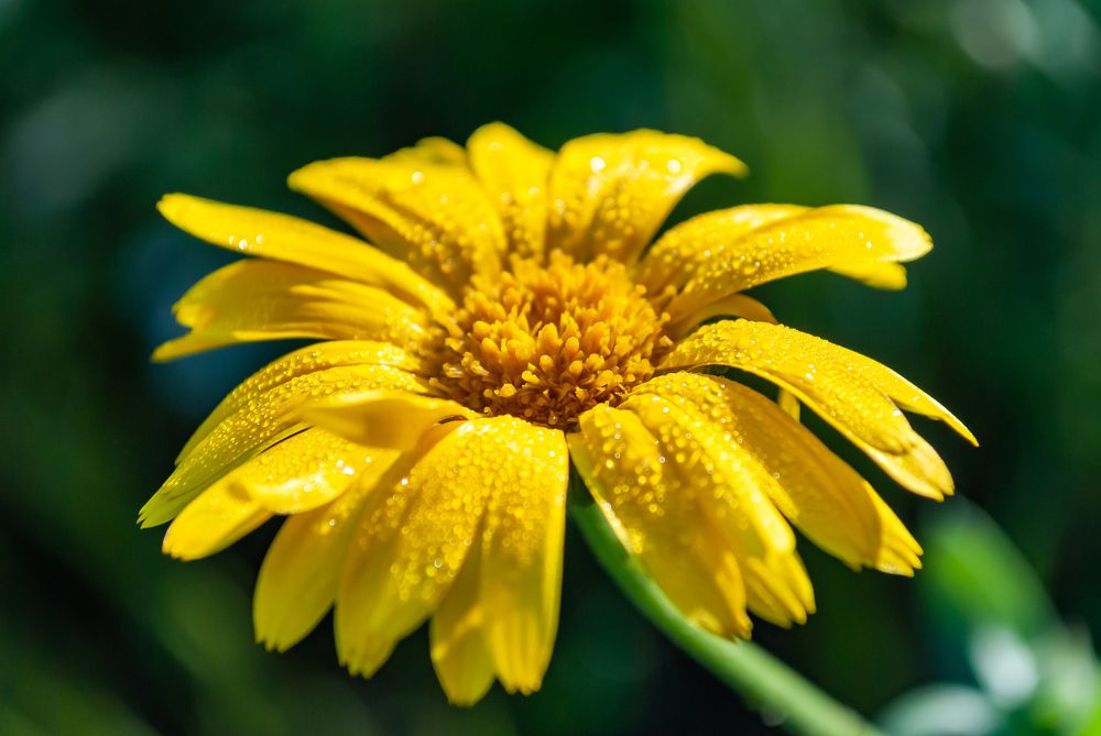 Photograph by Галина Патрушева