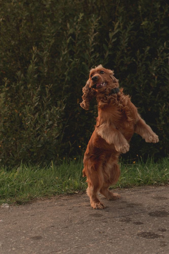 Photograph by Анастасия Каленько