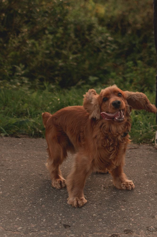 Photograph by Анастасия Каленько