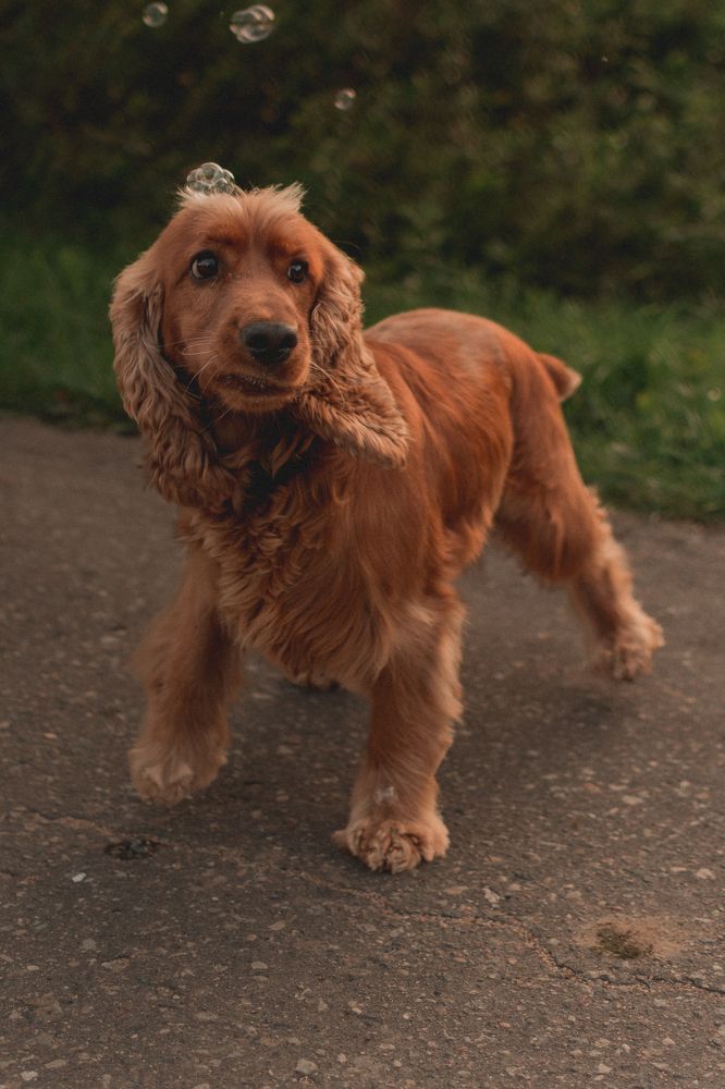 Photograph by Анастасия Каленько