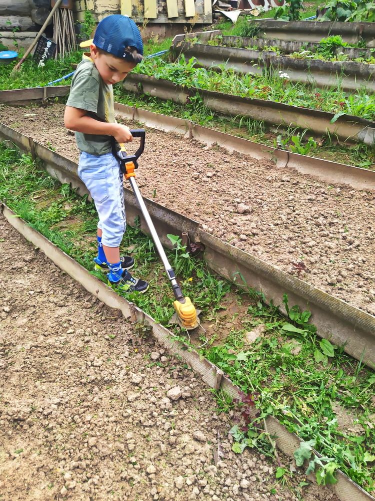 Фотография автора Анатолий Борисов