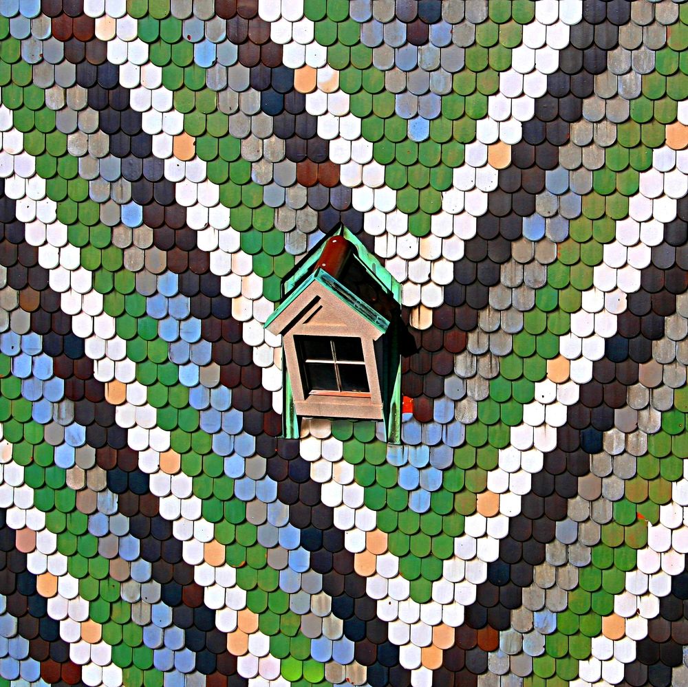 Фотография автора Рожнов Кирилл