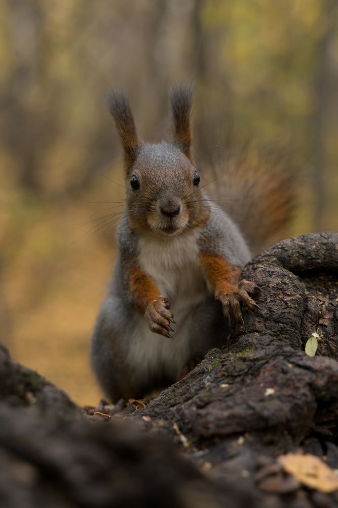 Photograph by Евгения Супрыгина