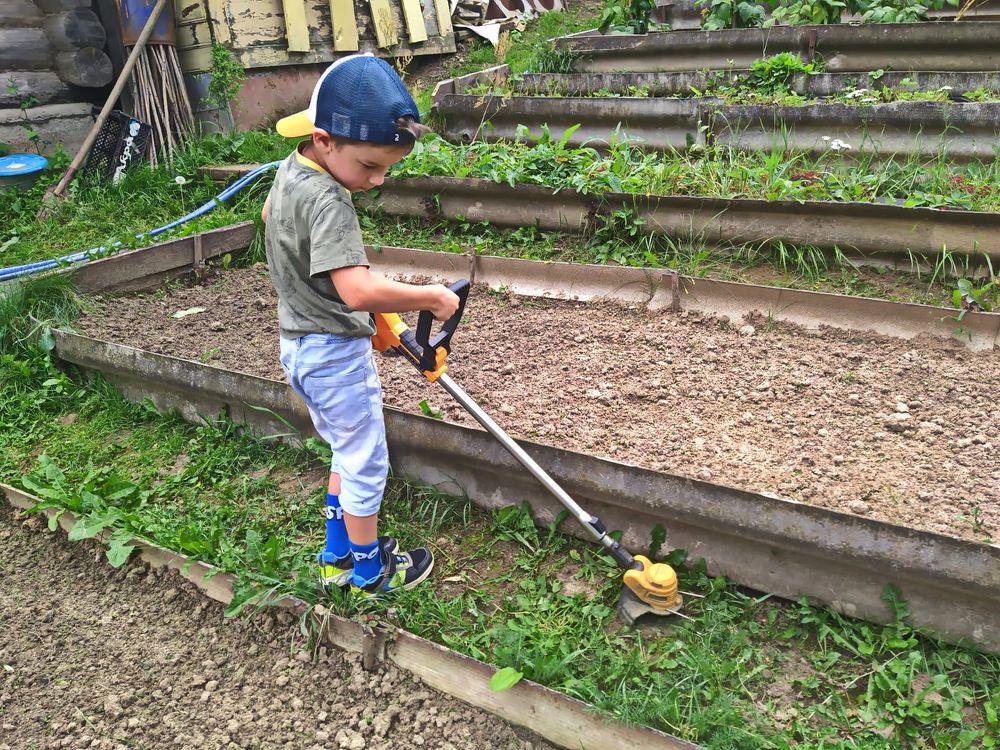 Фотография автора Анатолий Борисов