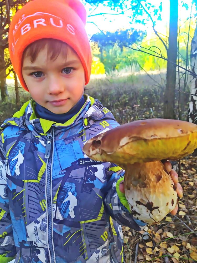 Фотография автора Анатолий Борисов