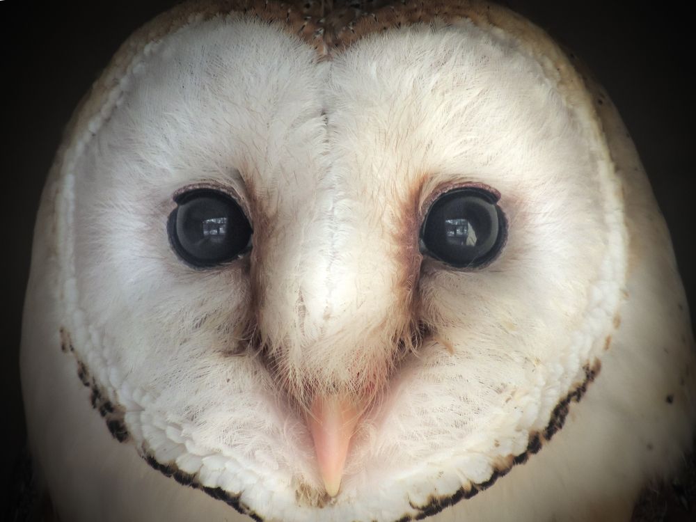 Photograph by Виктор Карпухин