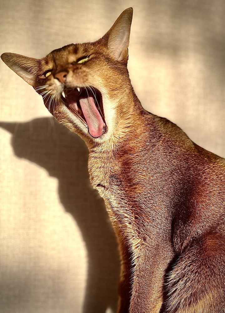 Photograph by Ekaterina Chernyshova