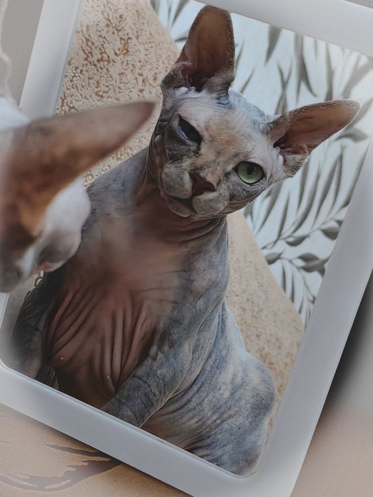 Photograph by Наталья