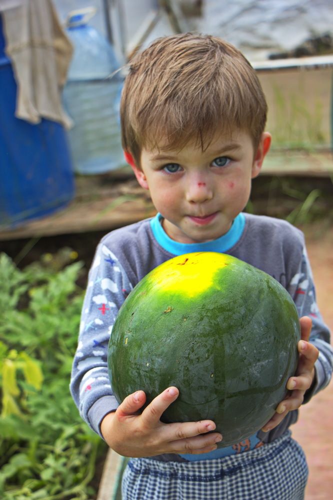 Фотография автора Анатолий Борисов