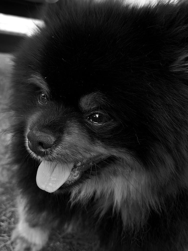 Photograph by Наталья