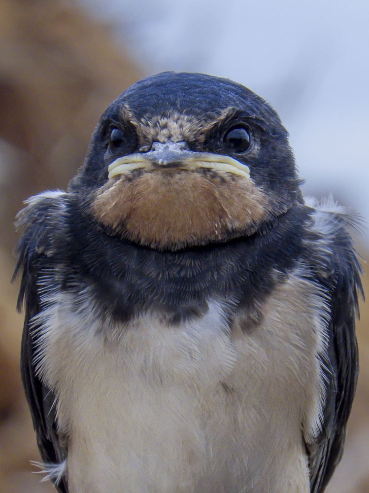 Photograph by Виктор Карпухин