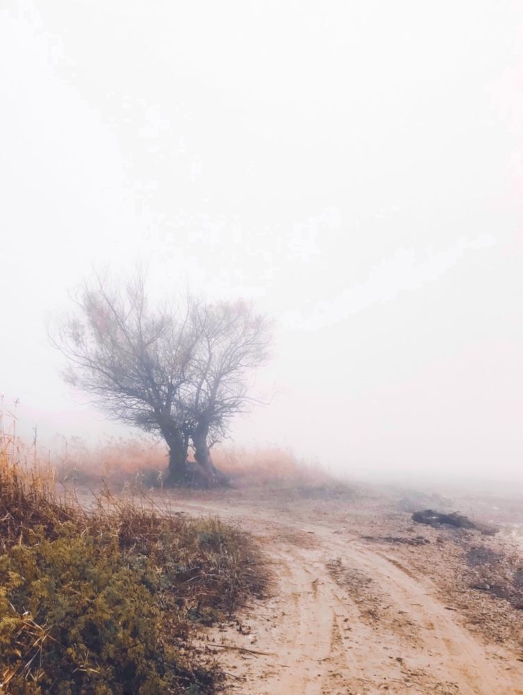 Photograph by Яна Сел