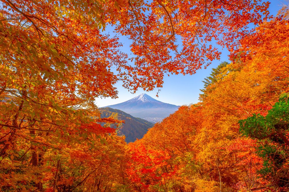 Photograph by Long Phùng Minh