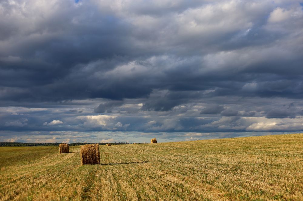 Фотография автора Ольга Варварич