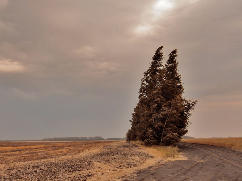 Photograph by Виктор Карпухин