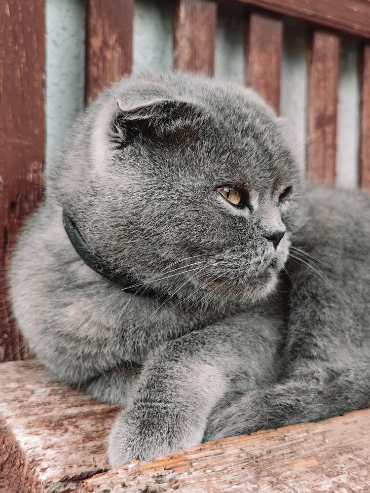 Photograph by Наталья