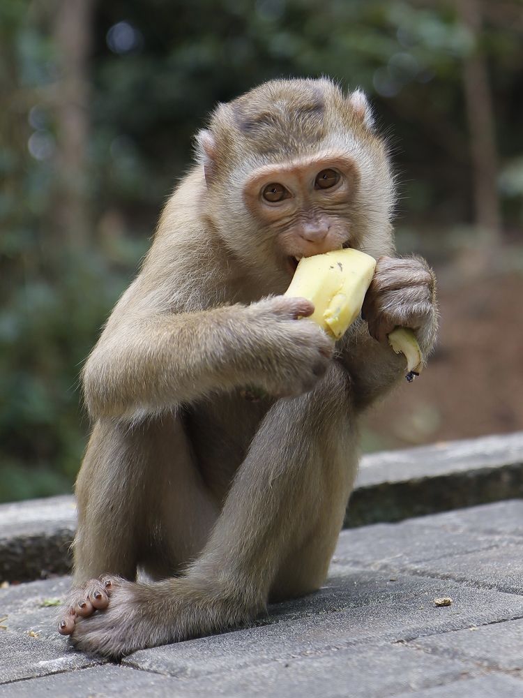 Photograph by Екатерина Слепнева