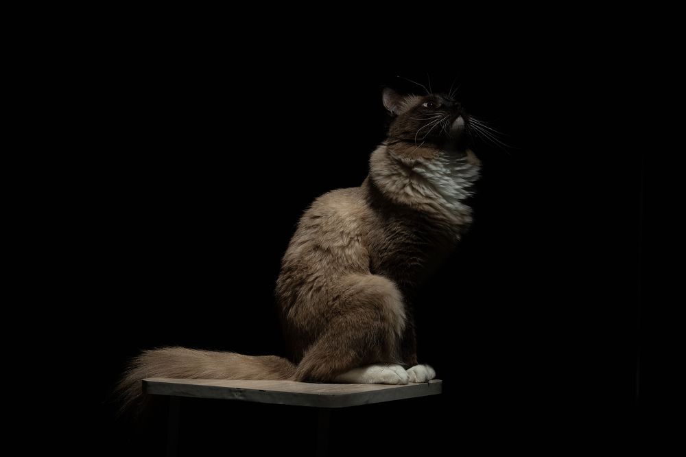 Photograph by Евгений Беляк