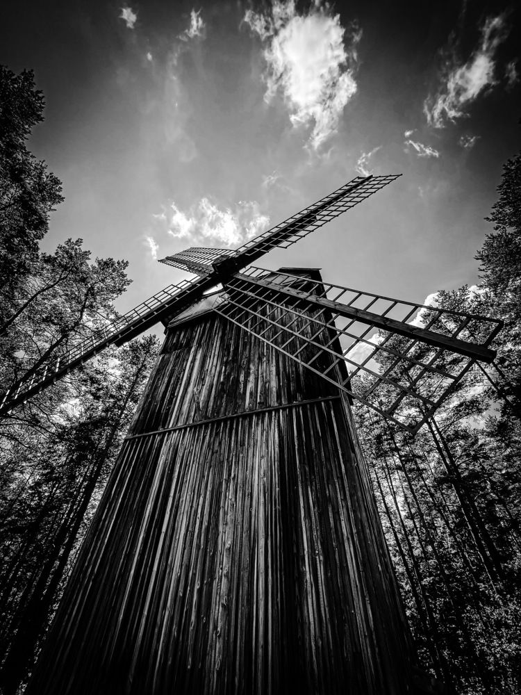 Photograph by Christelle Chebli