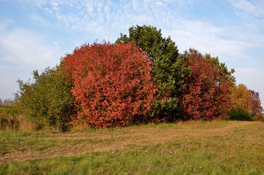 Photograph by Николай Соколовский