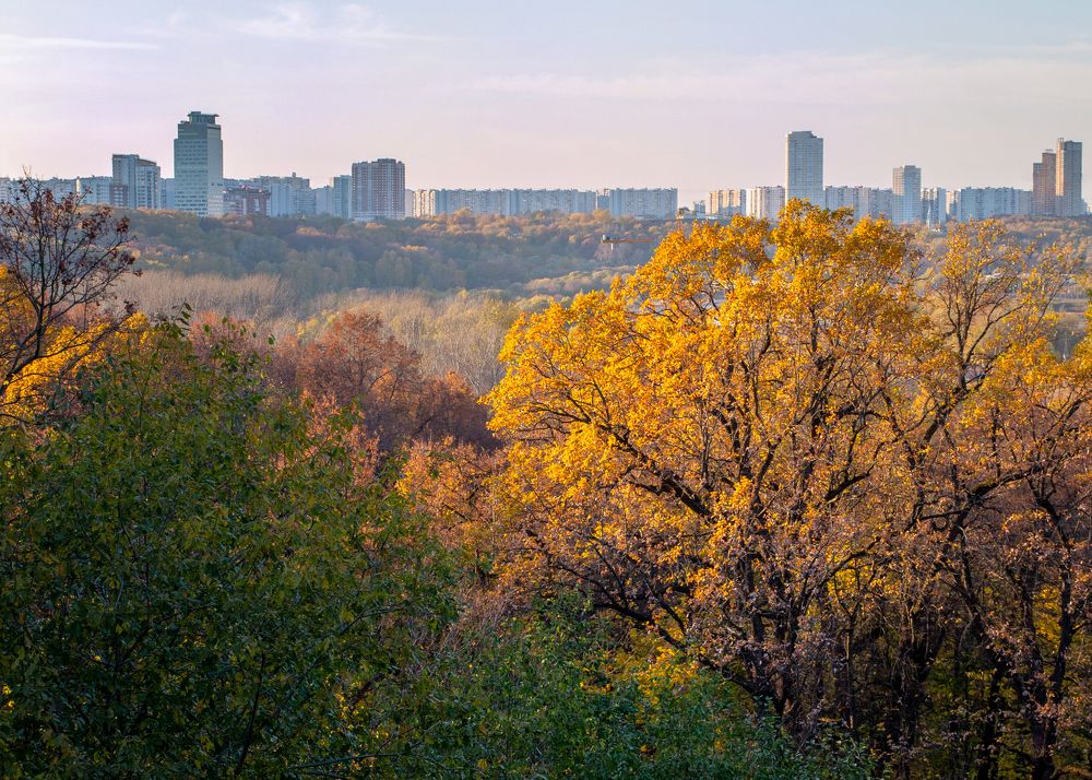 Photograph by Михаил Полторакин