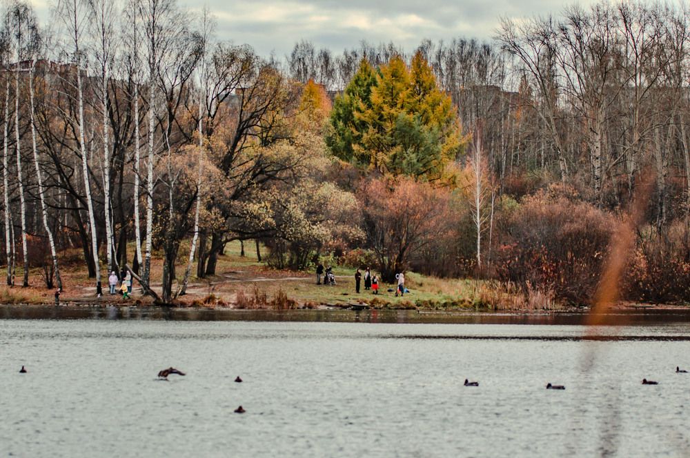 Осень в Томске
