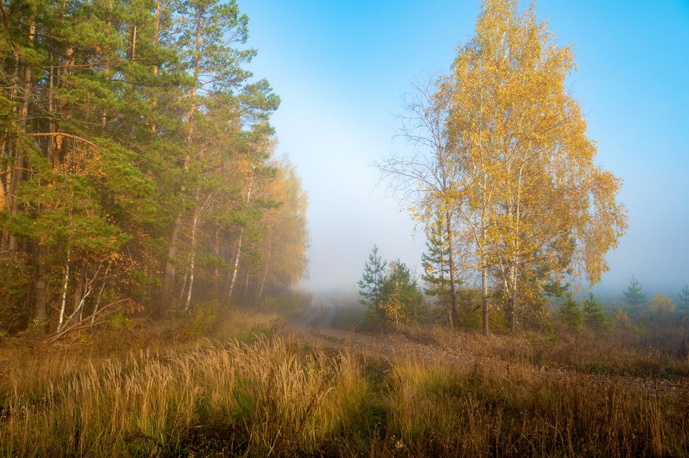 В осеннем наряде