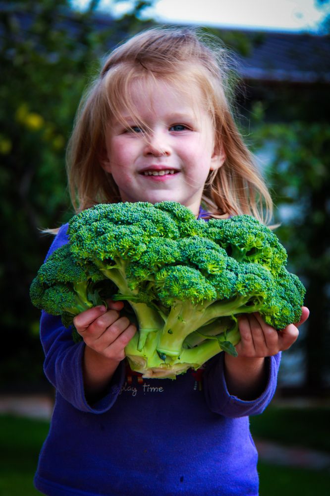 Фотография автора Elena Ku