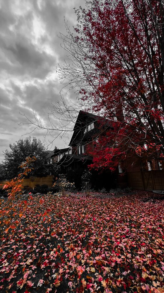 Photograph by Christelle Chebli