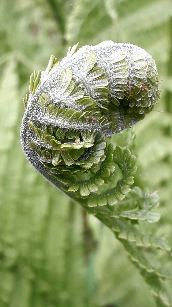 Photograph by Татьяна Солтан