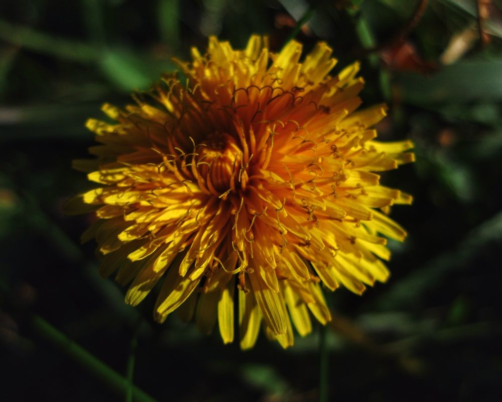 Photograph by Kanat Amre