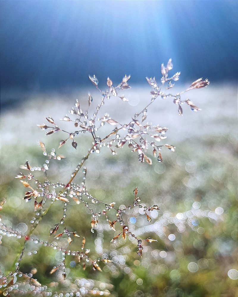 Photograph by Светлана